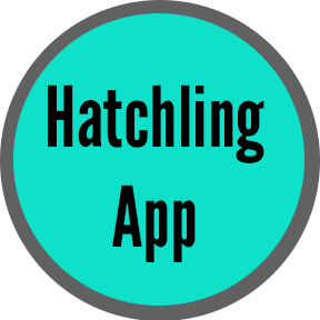 Click for Hatchling Application